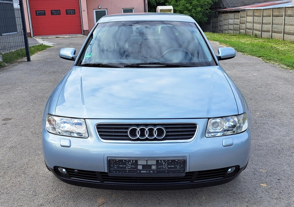 Audi A3 cena 8900 przebieg: 252829, rok produkcji 2001 z Rypin małe 137